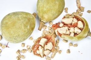 BAOBAB